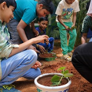 Summer Learning Programs